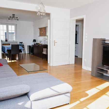 Charmant Appartement Avec Terrasse Dans Villa ストラスブール エクステリア 写真