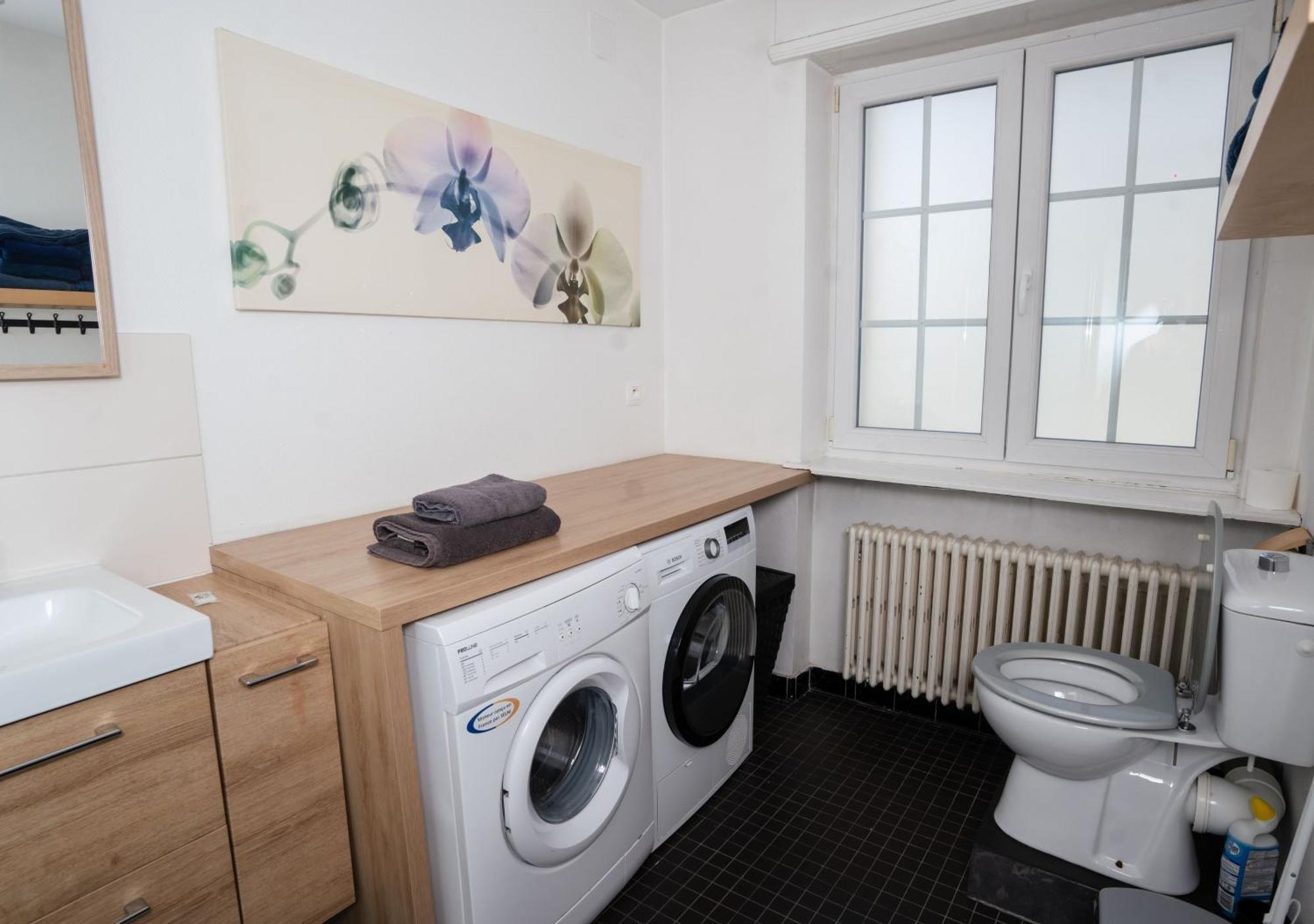 Charmant Appartement Avec Terrasse Dans Villa ストラスブール エクステリア 写真